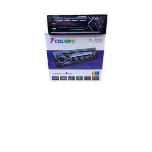 Car music player( fm Radio dual USB LCD)