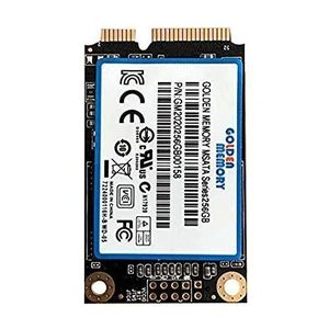 Golden Memory 256 GB MSATA Internal Solid State Drive
