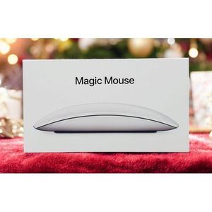 Apple Magic Mouse 2 A3204 - Wireless Bluetooth, Rechargeable, Multi-Touch Surface, Works with Mac/iPad - White