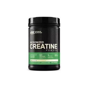 Optimum Nutrition Micronized Creatine