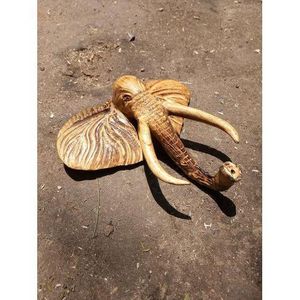 Jacaranda wood elephant mask decor ( length 10 inches, width 6 nches, height 14 inches )