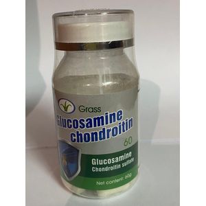 Glucosamine Chondroitin