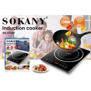 Single Plate Induction Electric Cooker 