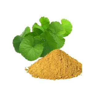 Organic 	Brahmi Leaf Powder - Herbal Extract, Fights Insomnia, Improves Memory, Prevents Anxiety 100g