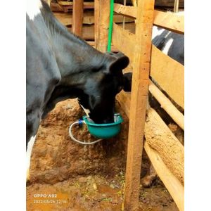 Pet Plastic Jar Cattle Bowl Water Saving Automatic Floating plastic Cattle Drinker Cow Water Trough For Livestock Farm