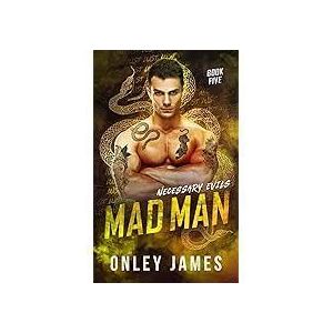 Jumia Books Mad Man (Necessary Evils Book 5)