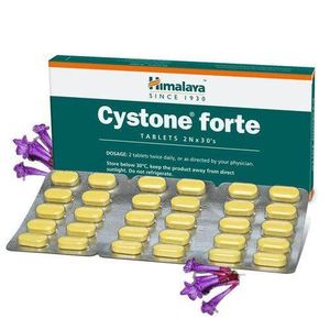 Health Himalaya Cystone Forte