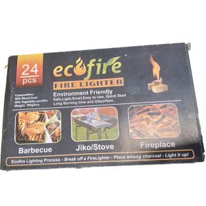 Eco Fire Online