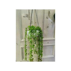 Decor Balcony Hanging Flower With Pot