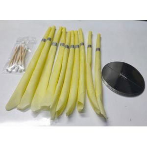 Ear Cleaning and Ear Wax Removal Kit for Home Use / 10pcs Set with Portable Storage Case /Convenient to Use (10pcs )