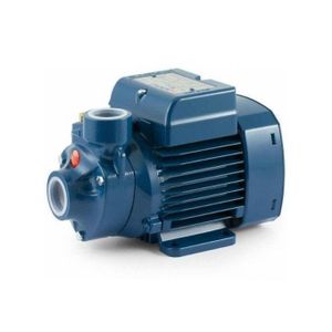 Pedrollo   PKM 60 Water Pump