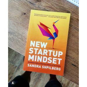 New Startup Mindset: Ten Mindset Shifts to Build the Company of Your Dreams Book by Sandra Shpilberg