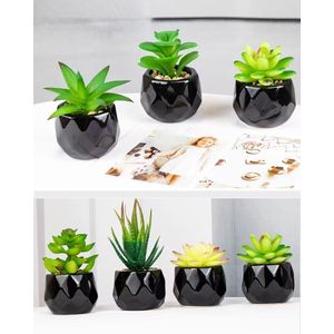 Artificial Succulent Bonsai Plant with Pot – Home, Office & Table Decor Ornament