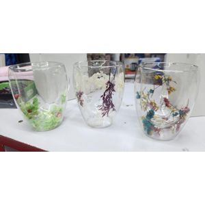 Insulated Double Wall Glass Cup Dried Flower with Handle 350ml – Heat-Resistant Coffee Mug for Hot & Cold Drinks Tea Milk
