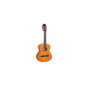 CLASSICAL ACOUSTIC GUITARS