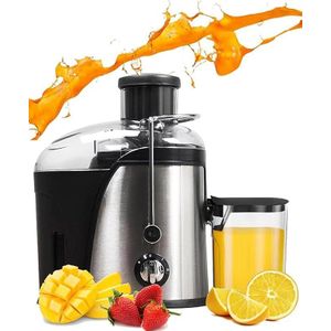 Hoffmans Juicer Machine, High-Efficiency 1200W Multi-Speed Mini Juicer Quick Fruit and Vegetable Juicing for Healthy Lifestyle, Easy to Clean, Stainless Steel, BPA-free