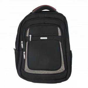 Pl Power Qg2081 Laptop Bag – 15.6 Inch Durable Backpack with USB Port, Water-Resistant, Padded Compartment – Ideal for Business, College & Travel