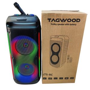 TAGWOOD Double Speaker Extra Powerful Bluetooth Trolley Speaker with Microphone