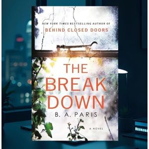 Justanned The Breakdown Book: A Novel