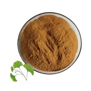 Ginkgo Biloba Dry Extract Powder (25:1 Ratio, 6% Terpenes, 25% Flavone Glycosides) 100g