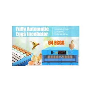 64 Eggs Capacity AC/DC Full Auto Incubator Hatcher (uses Electricity,solar Or Battery + Free Guard - BLUE