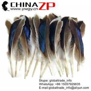 Chinazp Factory 50pieces/lot Size 10-15cm Premium Handpicked Natural Iridescent Blue Mix Mallard Duck Feathers