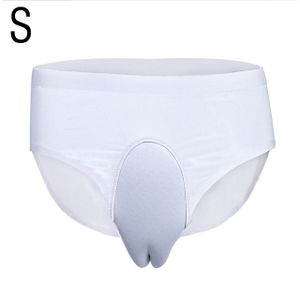 Silicone Fake Vagina CAMELTOE Men Gaff Panties Underwear Knickers G-string  Pants