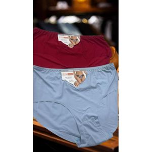 Fashion And Style Seamless Cotton Panties 4pcs Pack – Free Size L-XL Invisible No Line Underwear Soft Stretch Women Briefs