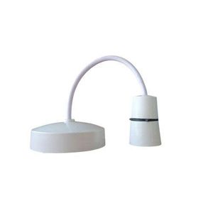 Ledon B22 Ceiling Rose with Pin Holder