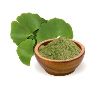 Ginkgo Biloba Dry Extract Powder (25:1 Ratio, 6% Terpenes, 25% Flavone Glycosides) 100g