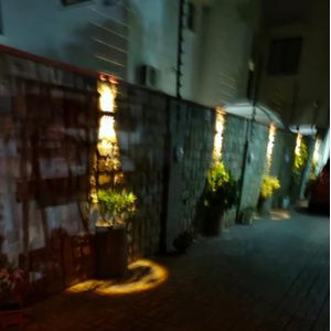 yorg solar wall light