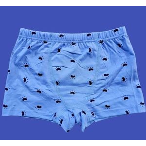 Premium Boys Cotton Boxer Briefs 6-Pack Set 