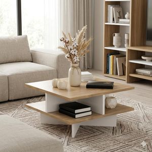 Hamilton Modern Design Coffee Table With Storage