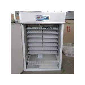 528eggs AC DC automatic incubator