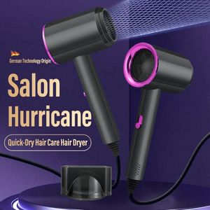 Professional Ionic Hair Dryer Fast Drying Low Noise Salon Styling at Home