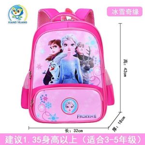 Frozen cartoon themed school bag for grade 1 to 6
