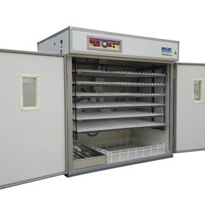 High Quality Full Automatic Electric Eggs Incubator / Electric Egg Hatcher, Digital Full Automatic Egg Hatching Incubator 