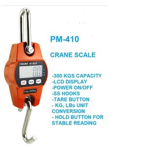 Commercial hanging scales