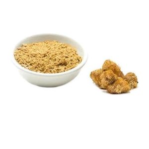 . Lion’s Mane Mushroom Powder for brain boost 100g