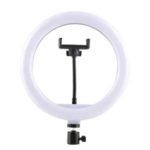 LED Ring Light Kit with Adjustable Stand for Professional Photography and Streaming