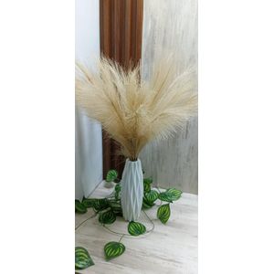 Luxury  Artificial Pampas Grass with Vase- Flowers 