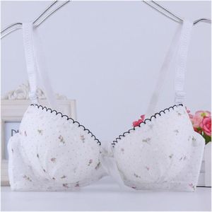 Lolita Girl Kawaii Bra Set Breathable Sexy Bra Panties Pink Lingerie Bra  Set Bracier De Push Up Sexy Underwear 2021 New