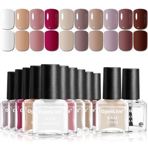 Nail Polish Set Quick Dry Colors