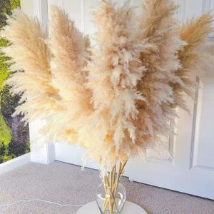 1 stems 80cm Natural dried Pampas Grass Decor Tall stems Perfect for Weddings, Parties, Farmhouse, and Boho Home DecorTails Dried Flowers, Reed Grass Bouquet for Wedding Boho Flowers and Home Table Decoration, Rustic Farmhouse Party