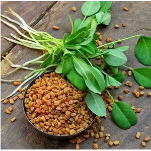 Natural whole Fenugreek Seeds 500g,1kg