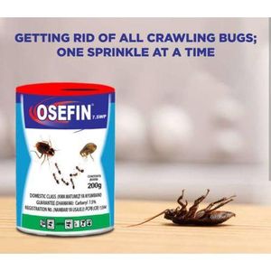 Osho Osefin Dudu Dust