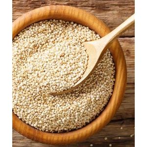 WHITE POPPY SEEDS improve digestion