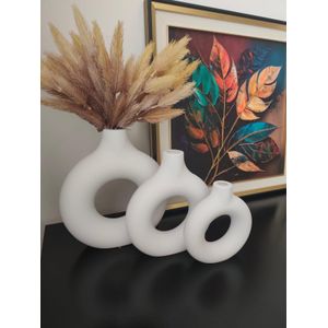 3 Piece Minimalist Doughnut Flower Vase Set