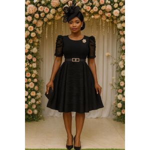 Ladies Elegant Black Stylish Skater Dress