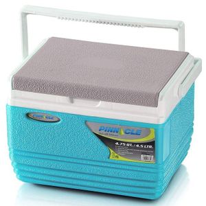 Pinnacle Cooler Box 4.5L Chiller Cool Box Portable For Ice